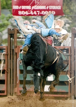 Wearing two hats: Civil affairs Soldier is professional rodeo cowboy