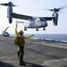 Osprey takes off