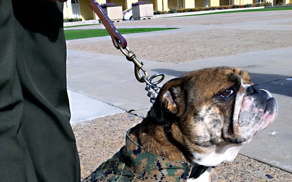 Depot mascot promoted Jan. 7