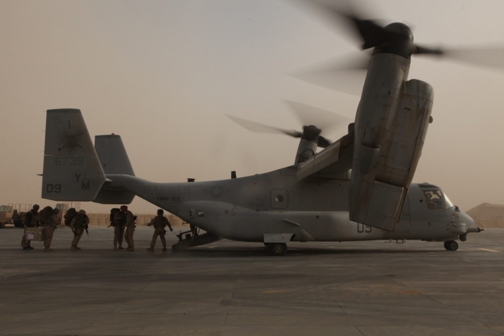 Landing support Marines prove sky is the limit