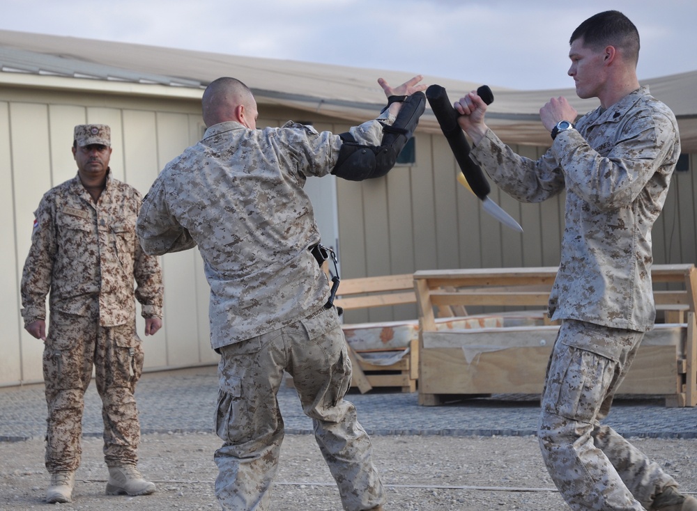 Camp Leatherneck Marines complete Bahraini baton training