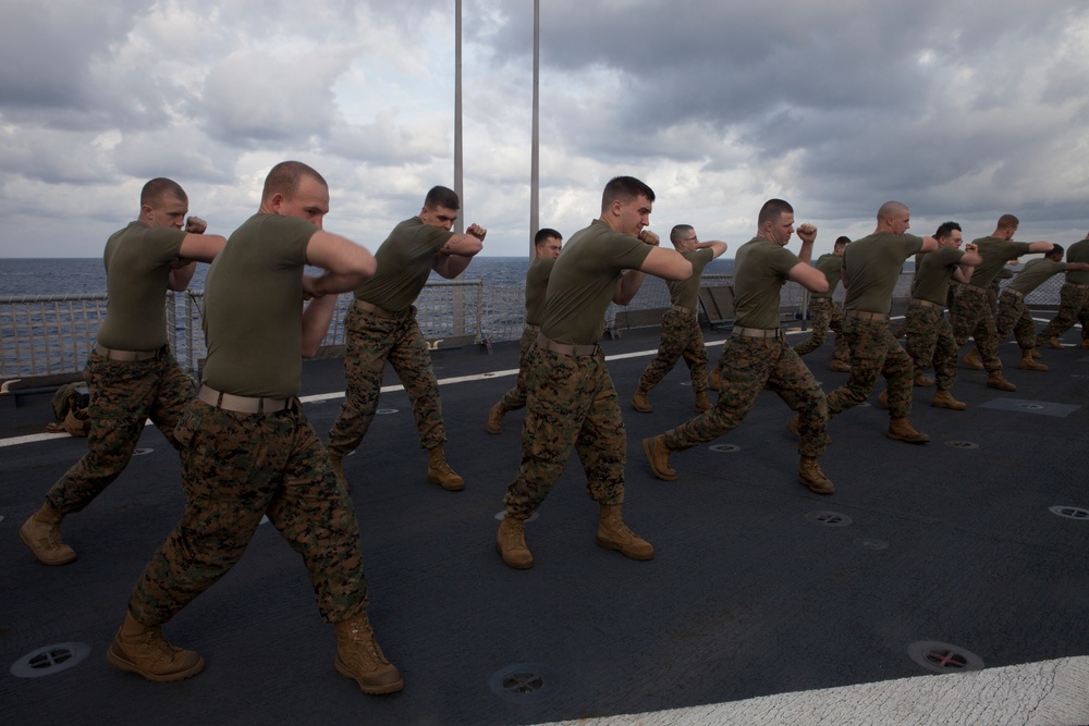 Security Cooperation Task Force Southern Partnership Station 2011