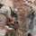 US Soldiers validate quick reaction skills