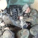 USD-C ‘Dragon’ Battalion mechanics maintain vehicle readiness around the clock