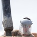 Seabees Finish Concrete Work at Ecole 5