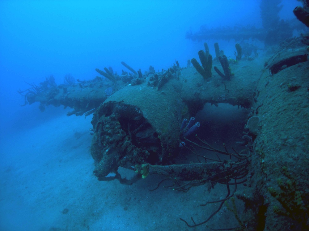 S2F Aircraft at bottom of Guantanamo Bay