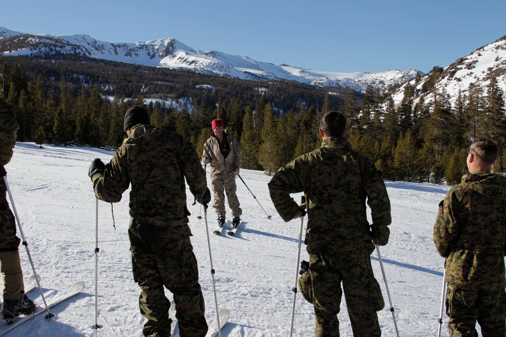 Scout skiers ready for mountain warfare