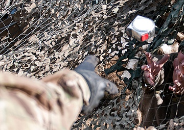 5 Years, 3 Tours Bond TF Bandit Trio