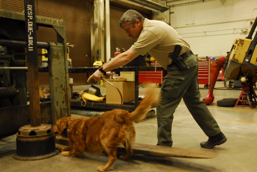 National Police Canine Association and Arizona National Guard partnership helps certify canines