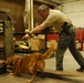 National Police Canine Association and Arizona National Guard partnership helps certify canines
