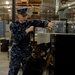 Military working dog
