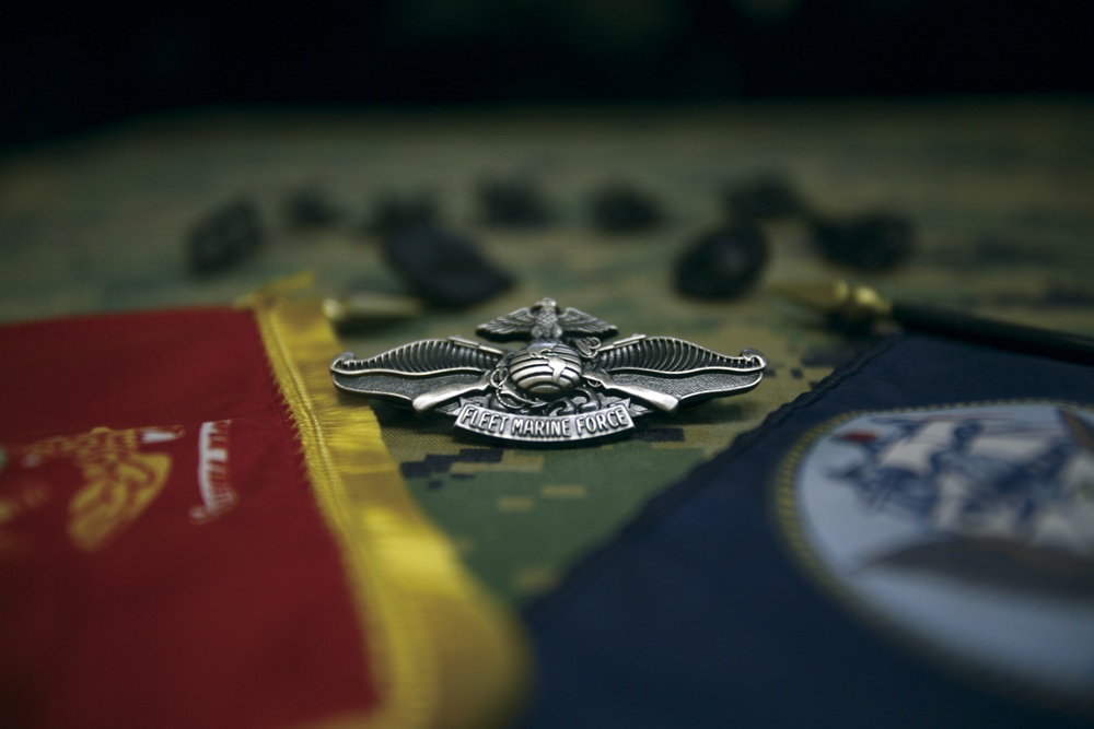 Fleet Marine Force pin: Sailors earn respect, confidence to wear pin