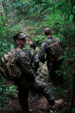 Combat hunter tracks prey: 3rd Recon Marines learn techniques of predator