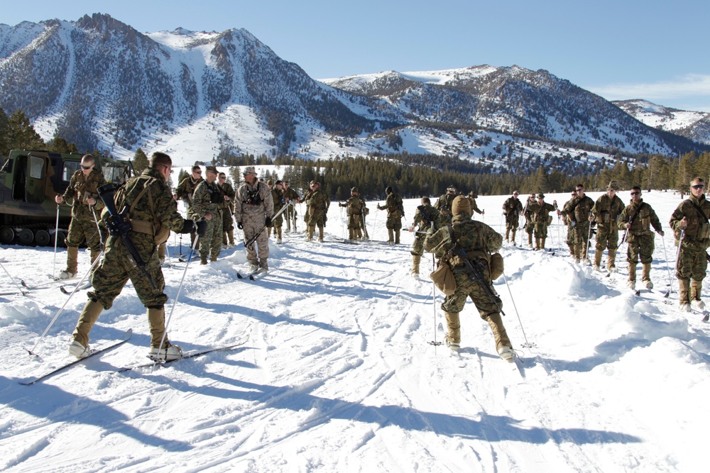 2nd Battalion, 4th Marines take on Bridgeport