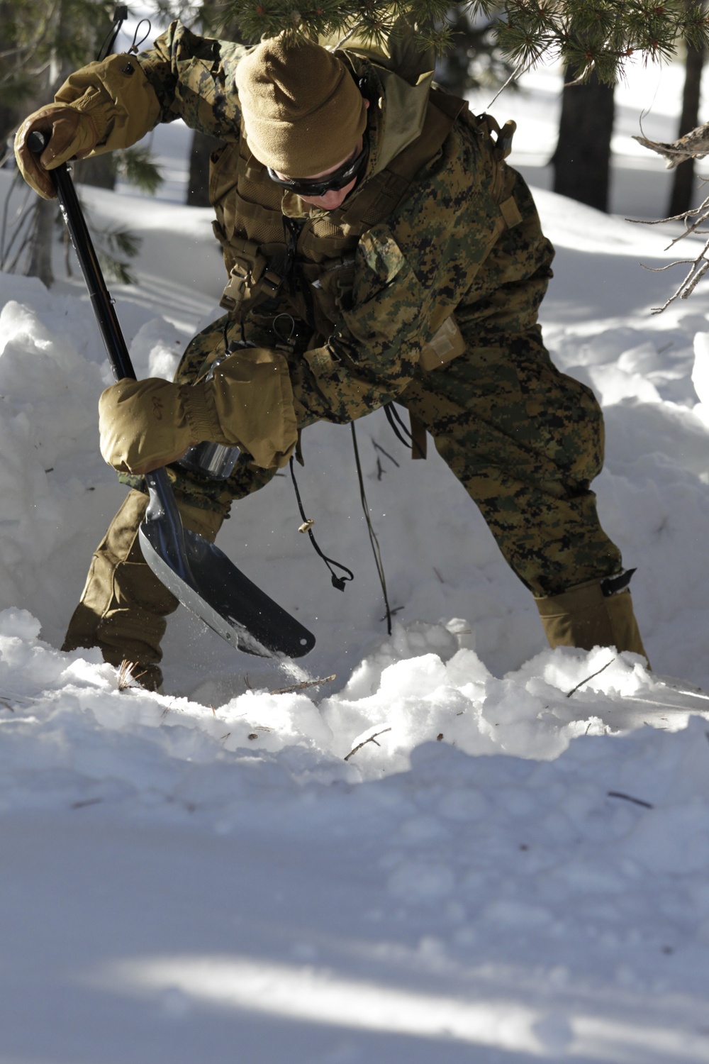 2nd Battalion, 4th Marines take on Bridgeport