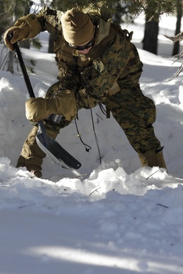2nd Battalion, 4th Marines take on Bridgeport