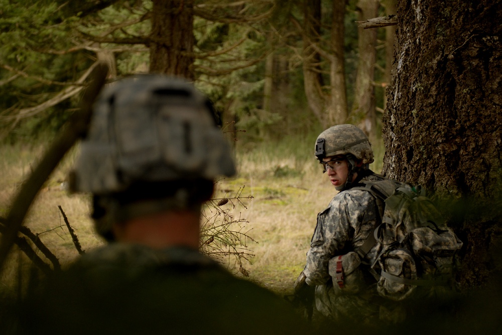 JBLM units work together on air assault mission