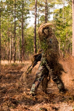 Hiding in plain sight