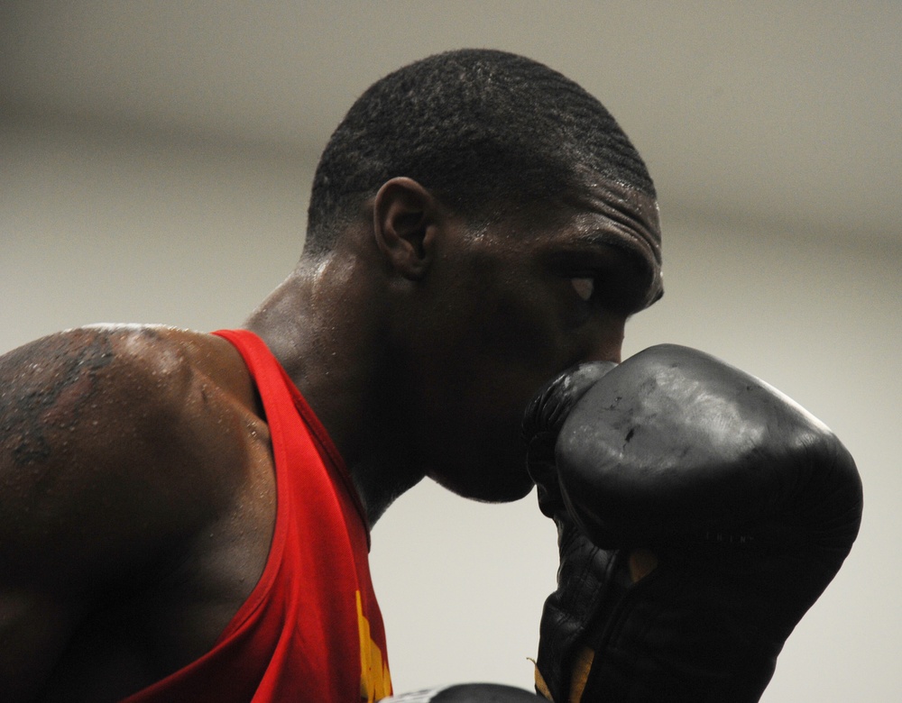 2011 Armed Forces Boxing Championship