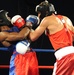 2011 Armed Forces Boxing Championship