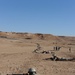 Iraqi Soldiers Train in Camp Al Asad