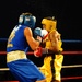 Armed Forces Boxing Championship