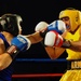 Armed Forces Boxing Championship