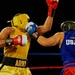 Armed Forces Boxing Championship