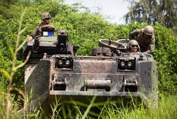 Tracks tear up MCB Hawaii ponds for endangered birds: Environmental, AAVs team up for 29th annual Mud Ops