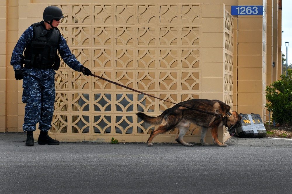 Exercise Solid Curtain/Citadel Shield