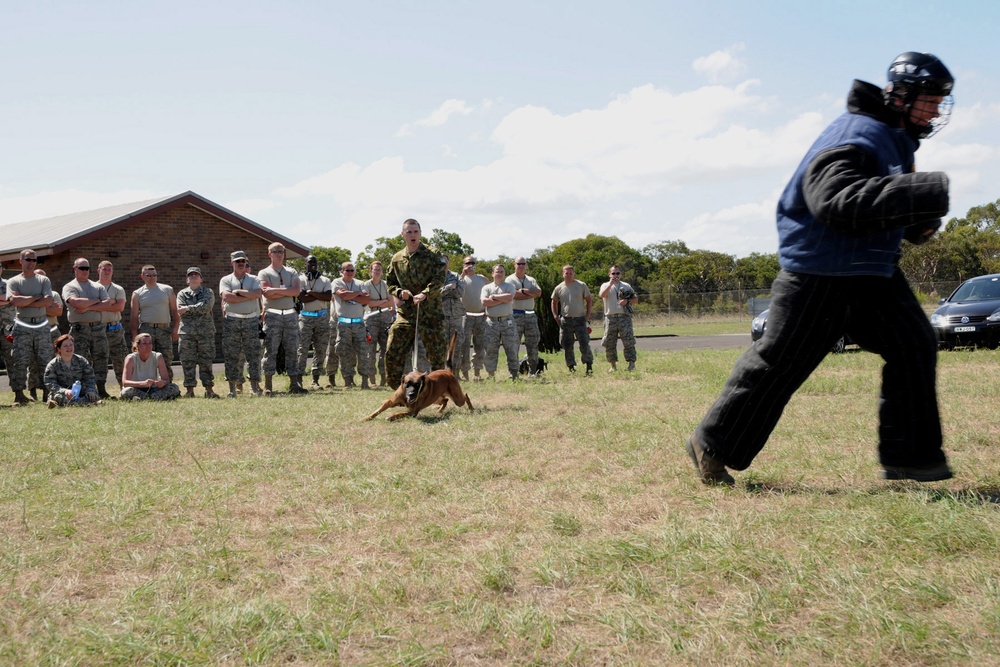 Australian military working dogs show 132FW members what they're made of.