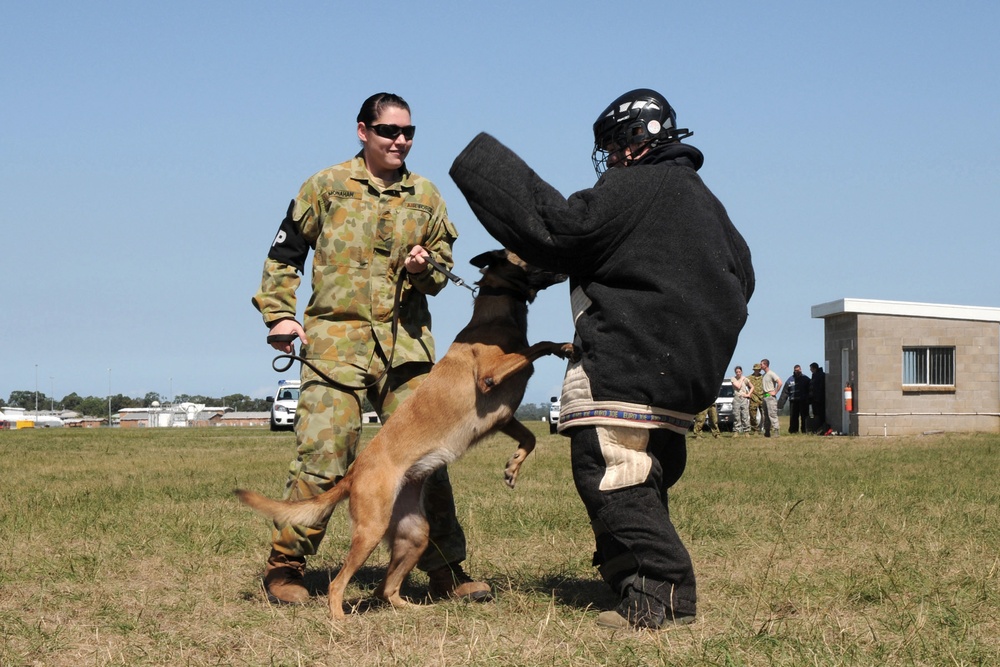 Australian RAAF Military Working Dogs show 132FW members what they're made of.