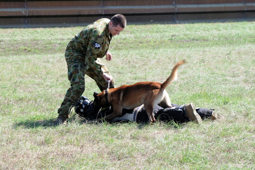 Australian RAAF Military Working Dogs show 132FW members what they're made of.