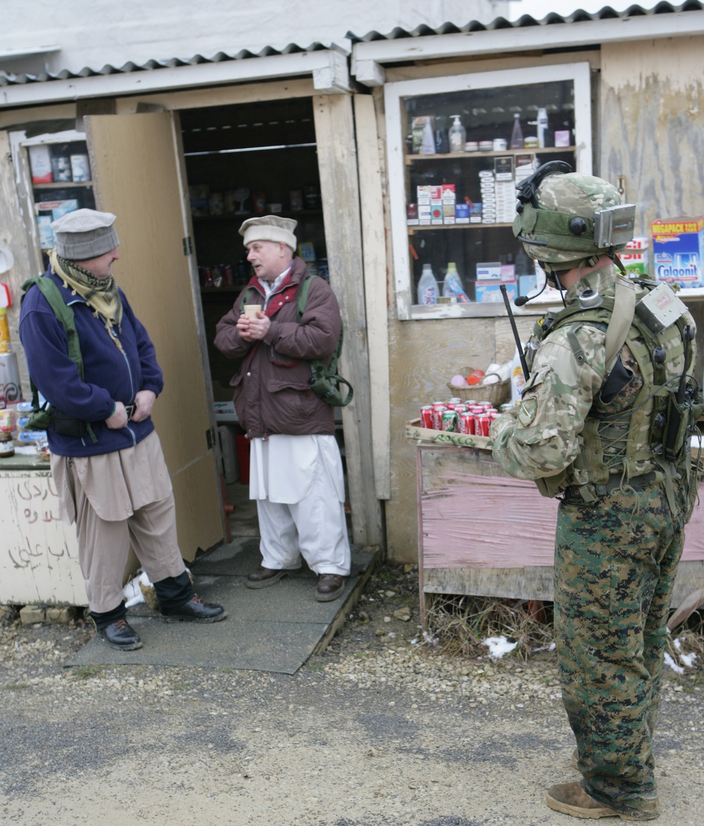 U.S. Marines observe, train Georgia’s 33rd Light Infantry Battlion during Georgia Deployment Program