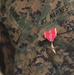 22nd MEU Marine Recieves Bronze Star With Combat Distinguishing Device