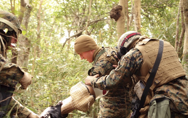 MP support company takes on field exercise