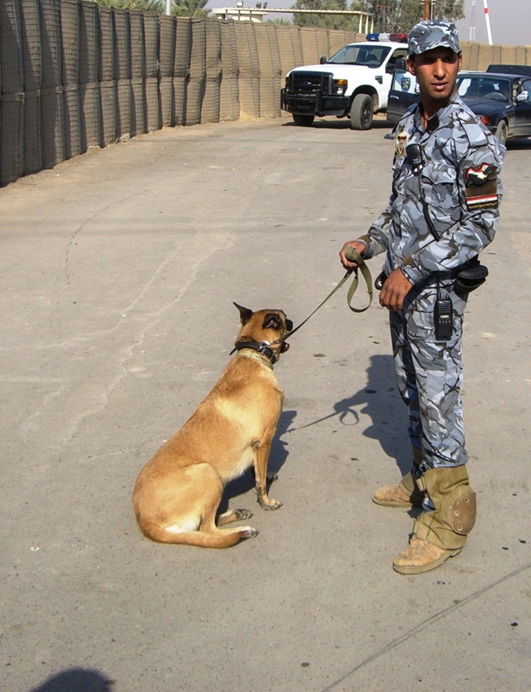 USD-C ‘Patriot’ MP Company, Iraqi Police work together to create working dog training course