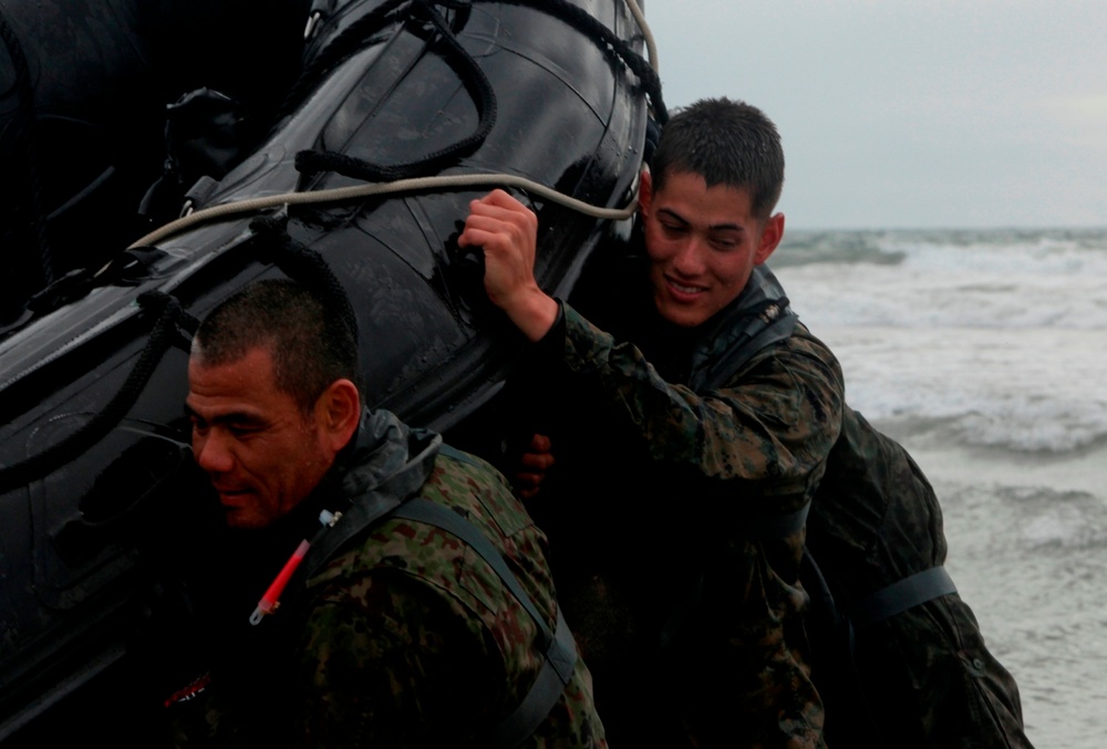 Exercise Iron Fist 2011