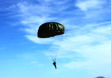 Canadian, US Paratroopers train together, exchange jump wings