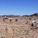 Lava Dogs sharpen infantry tactics