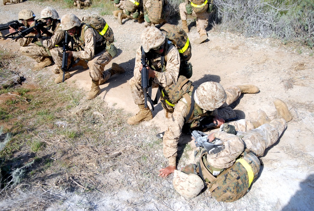 Company D encounters simulated IEDs