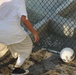 A detainee goes after a soccer ball within the outdoor recreation area of Camp Six at Joint Task Force Guantanamo