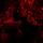 Two military personnel are seated inside what appears to be a large military cargo aircraft, illuminated by red interior lighting. The individual in the foreground is working on a laptop computer while both wear aviation headsets. The red lighting is consistent with night operations protocol used in military aircraft to preserve night vision.