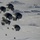 An aerial photograph captures multiple dark military cargo parachutes descending over a snow-covered landscape. Several supply bundles or equipment pallets are suspended beneath the parachutes at various altitudes, indicating an active airdrop operation. The ground below shows a snow-blanketed terrain with rectangular structures or buildings visible in the background.