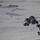 An aerial photograph shows multiple dark military cargo parachutes descending over a snow-covered landscape. The parachutes appear to be part of a mass airdrop operation, likely a military supply or equipment delivery exercise. Several rectangular structures, possibly buildings or bunkers, are visible on the snow-covered ground below.