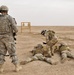 Iraqi instructors take the reins at KMTB