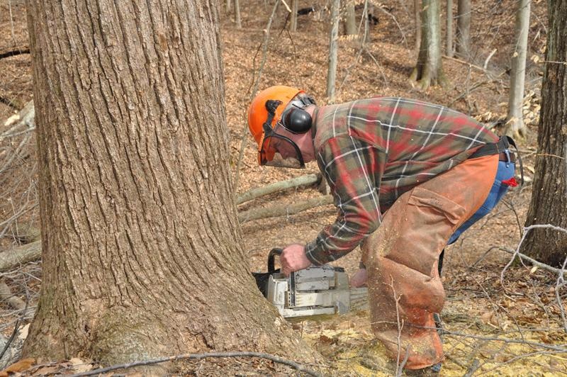 Work begins on new machine gun range