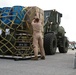 III MEF Marines prepare to provide assistance following tsunami in Japan