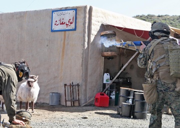 Resiliency through repetition, RAPTOR programs prepares deploying Marines
