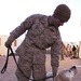 Lassie 2.0: Canine Marines snuff out IED threat for Lava Dogs